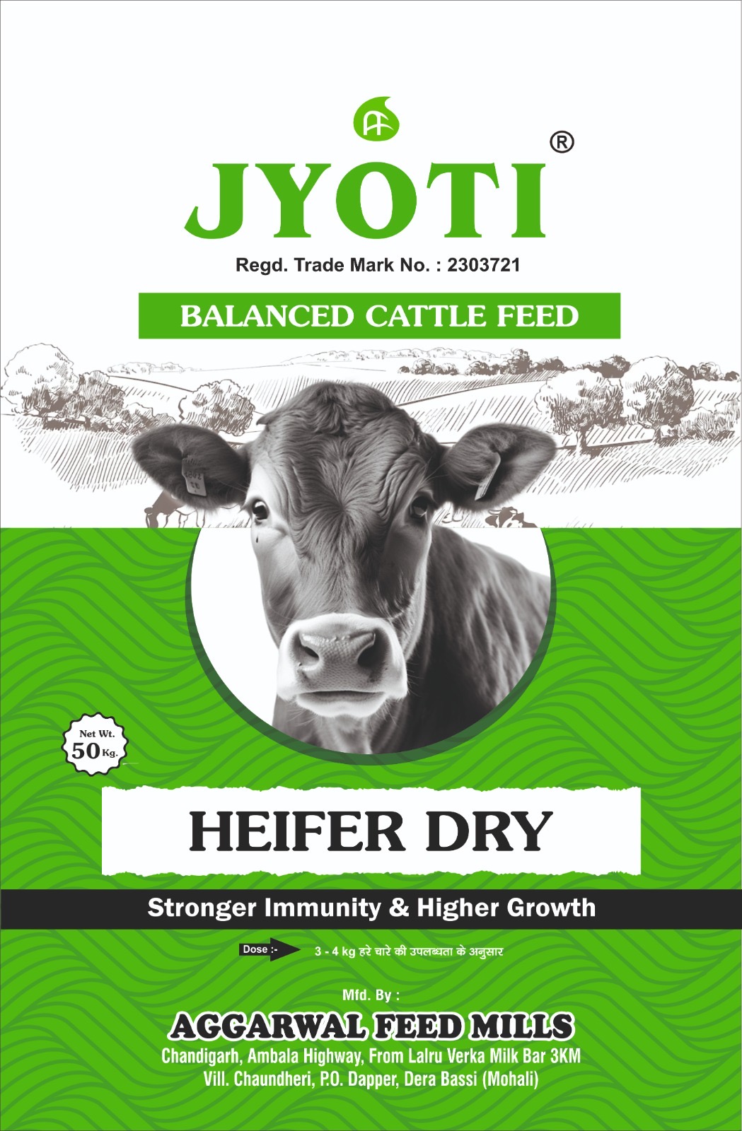 Heifer Dry