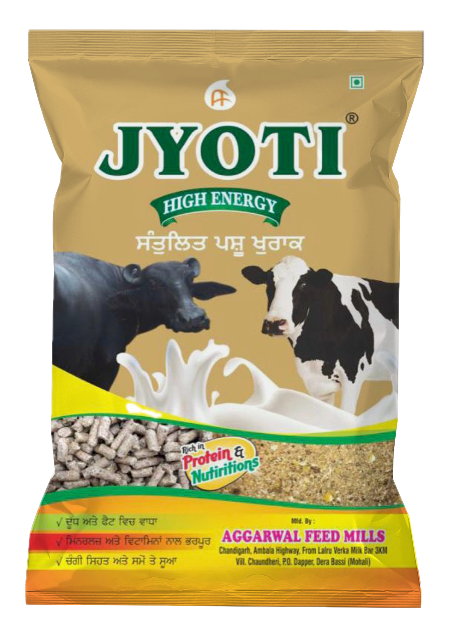 JYOTI 10000